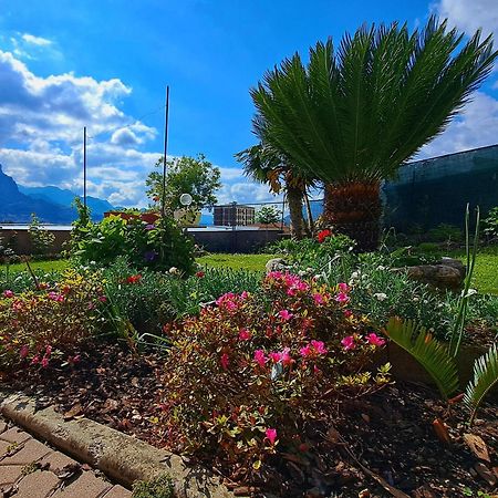 Le Rose Sul Lago Pescate エクステリア 写真