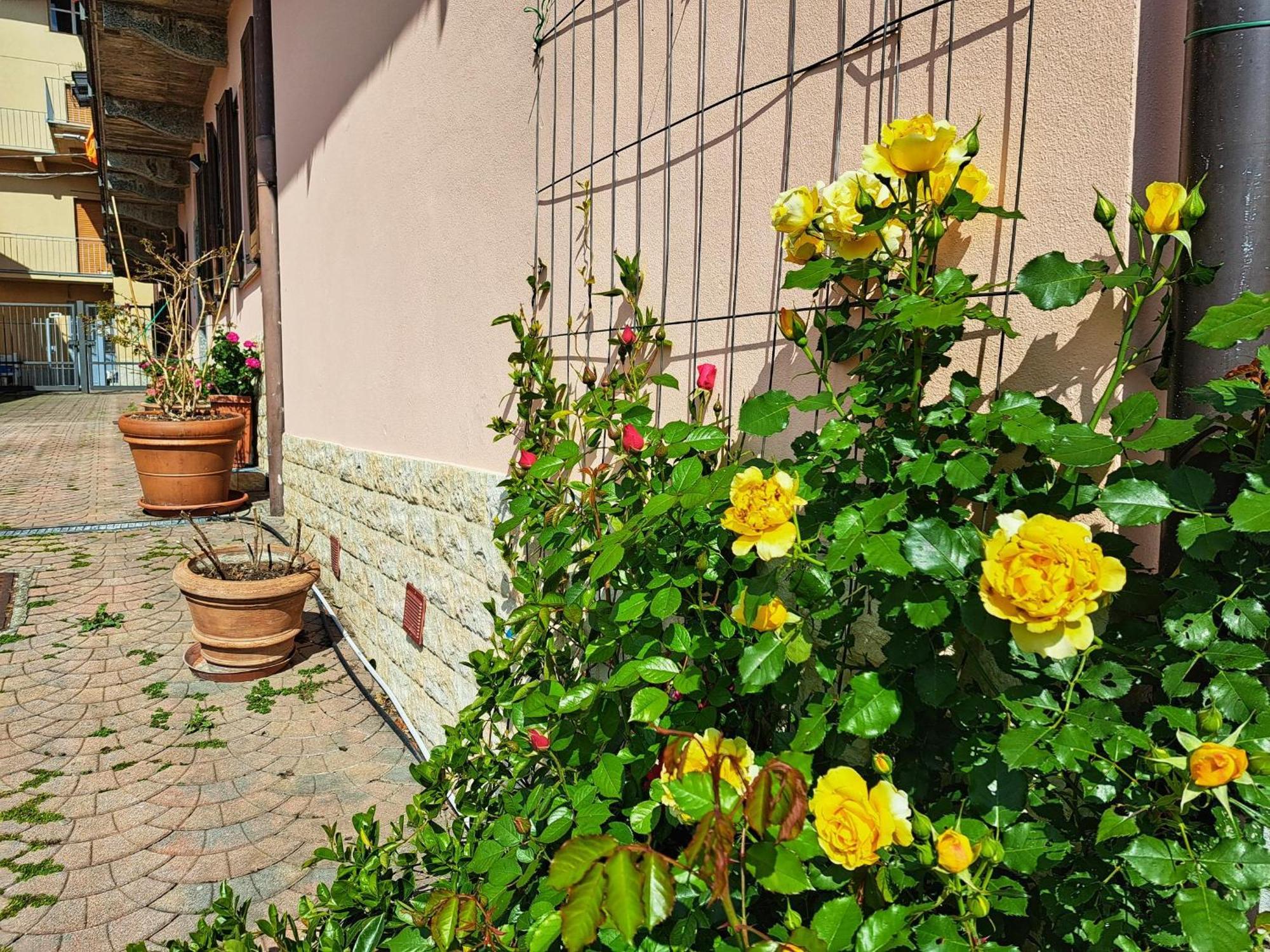 Le Rose Sul Lago Pescate エクステリア 写真