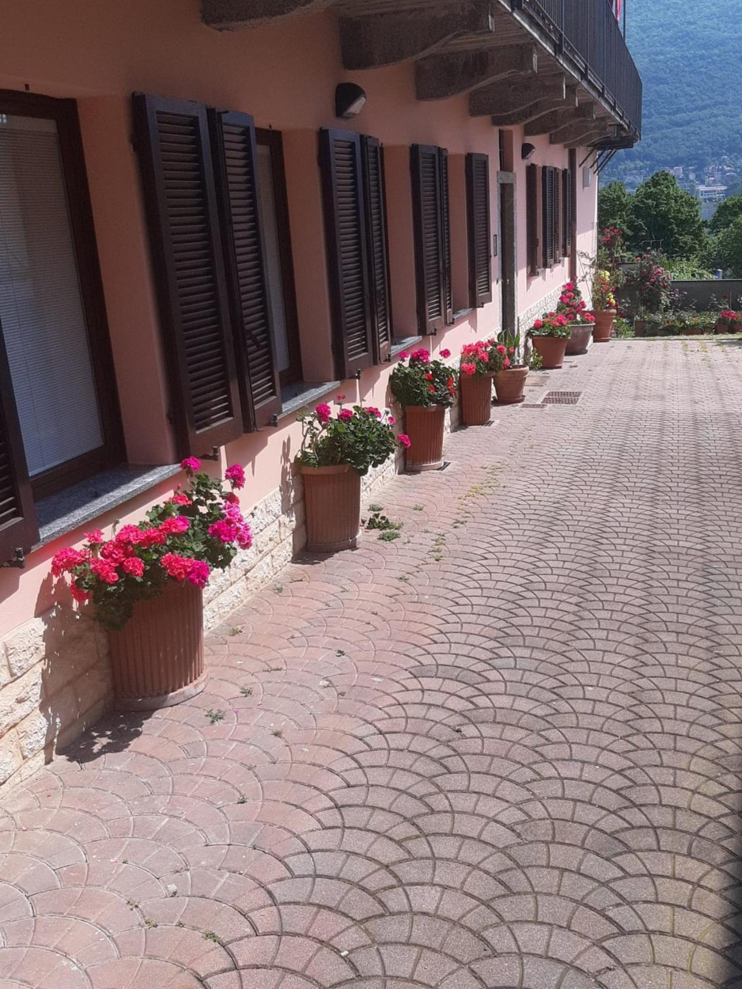 Le Rose Sul Lago Pescate エクステリア 写真
