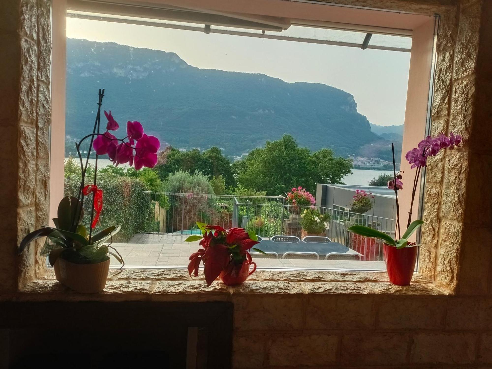 Le Rose Sul Lago Pescate エクステリア 写真