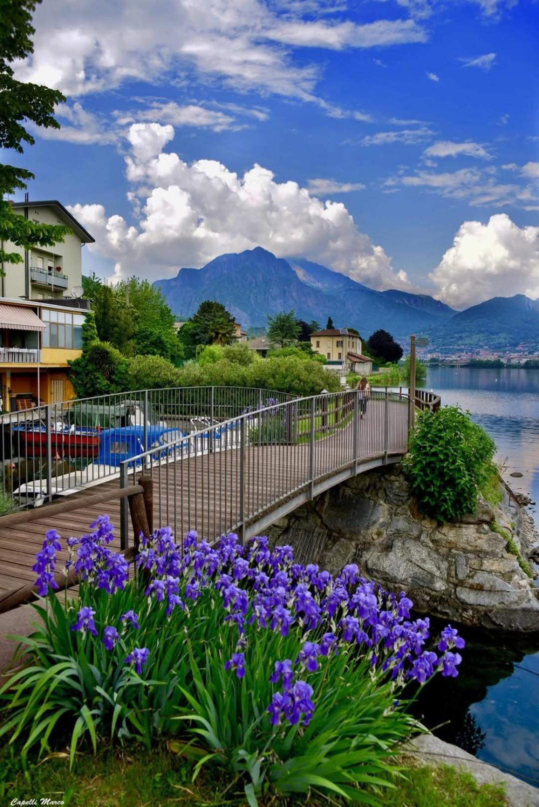 Le Rose Sul Lago Pescate エクステリア 写真